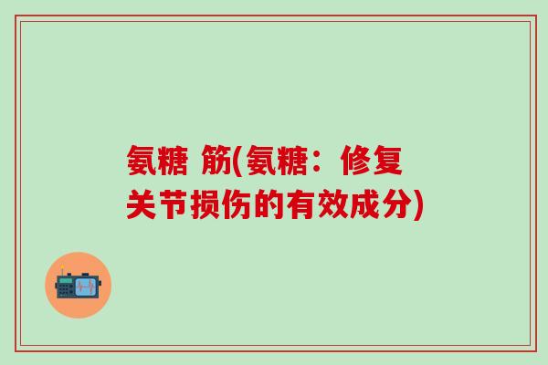 氨糖 筋(氨糖:修复关节损伤的有效成分) 氨糖 筋(氨糖:修复关节损伤的有效成分)