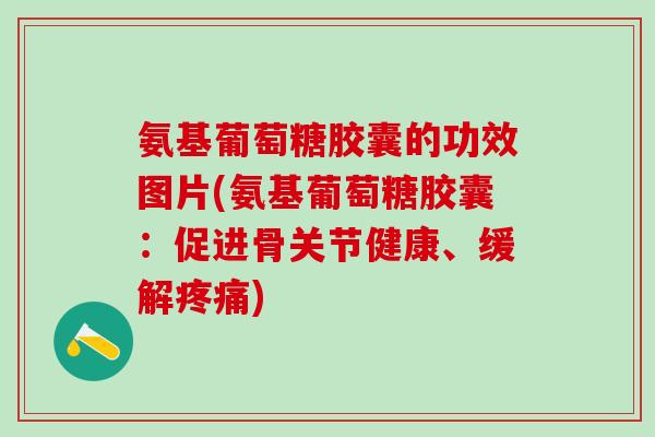 氨基葡萄糖胶囊的功效图片(氨基葡萄糖胶囊：促进骨关节健康、缓解疼痛)