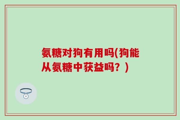氨糖对狗有用吗(狗能从氨糖中获益吗？)