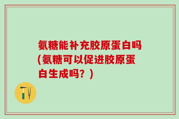 氨糖能补充胶原蛋白吗(氨糖可以促进胶原蛋白生成吗？)