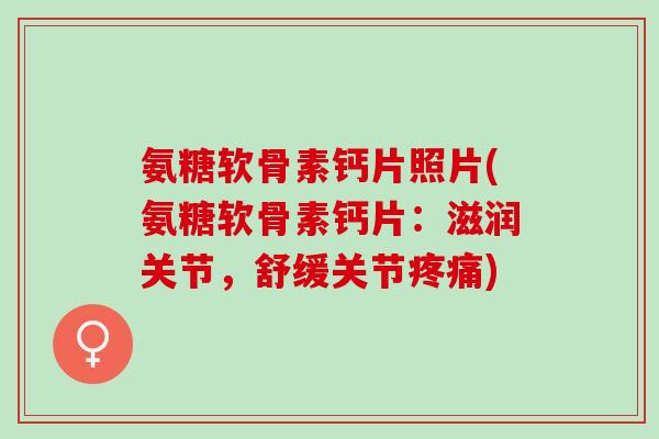 氨糖软骨素钙片照片(氨糖软骨素钙片：滋润关节，舒缓关节)