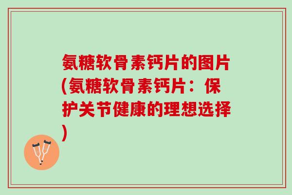 氨糖软骨素钙片的图片(氨糖软骨素钙片：保护关节健康的理想选择)