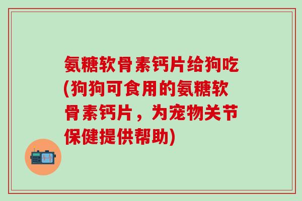 氨糖软骨素钙片给狗吃(狗狗可食用的氨糖软骨素钙片，为宠物关节保健提供帮助)