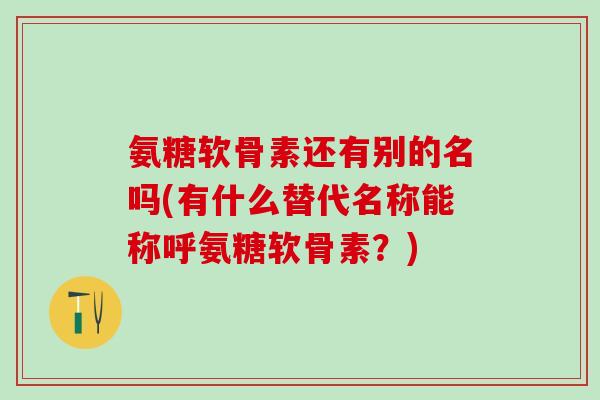 氨糖软骨素还有别的名吗(有什么替代名称能称呼氨糖软骨素？)