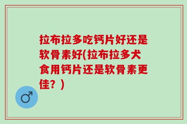 拉布拉多吃钙片好还是软骨素好(拉布拉多犬食用钙片还是软骨素更佳？)