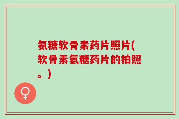 氨糖软骨素药片照片(软骨素氨糖药片的拍照。)