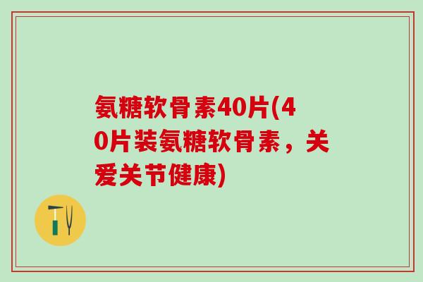氨糖软骨素40片(40片装氨糖软骨素，关爱关节健康)