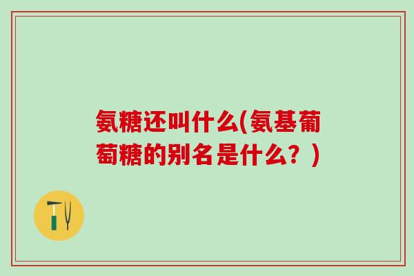 氨糖还叫什么(氨基葡萄糖的别名是什么？)