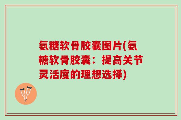 氨糖软骨胶囊图片(氨糖软骨胶囊：提高关节灵活度的理想选择)