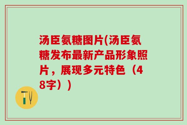 汤臣氨糖图片(汤臣氨糖发布新产品形象照片,展现多元特色(48字)) 汤臣氨糖图片(汤臣氨糖发布新产品形象照片,展现多元特色(48字))