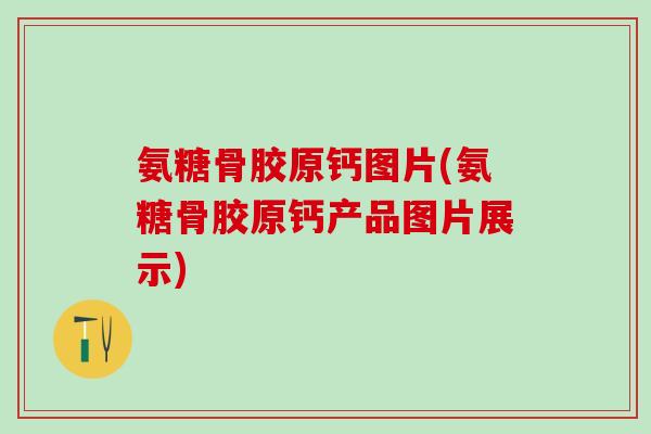 氨糖骨胶原钙图片(氨糖骨胶原钙产品图片展示)