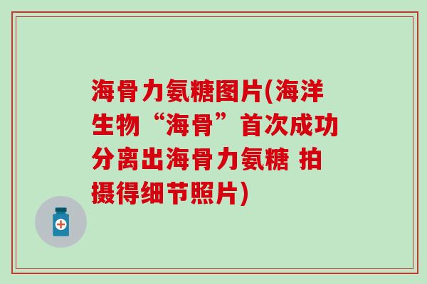 海骨力氨糖图片(海洋生物“海骨”首次成功分离出海骨力氨糖 拍摄得细节照片)