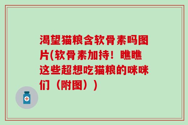 渴望猫粮含软骨素吗图片(软骨素加持！瞧瞧这些超想吃猫粮的咪咪们（附图）)