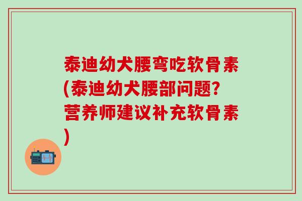 泰迪幼犬腰弯吃软骨素(泰迪幼犬腰部问题？营养师建议补充软骨素)