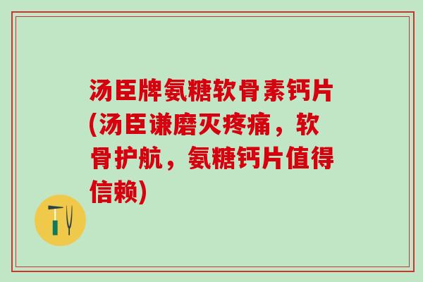 汤臣牌氨糖软骨素钙片(汤臣谦磨灭疼痛，软骨护航，氨糖钙片值得信赖)