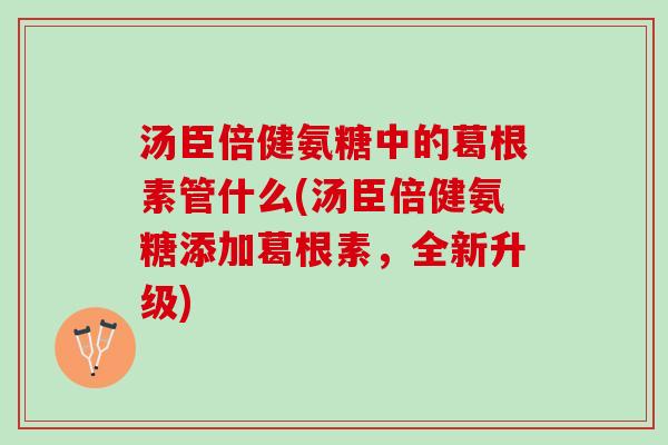 汤臣倍健氨糖中的葛根素管什么(汤臣倍健氨糖添加葛根素，全新升级)