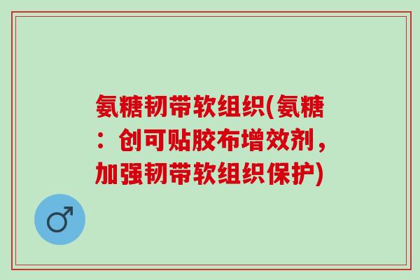 氨糖韧带软组织(氨糖：创可贴胶布增效剂，加强韧带软组织保护)