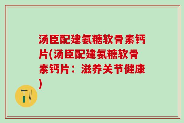 汤臣配建氨糖软骨素钙片(汤臣配建氨糖软骨素钙片：滋养关节健康)