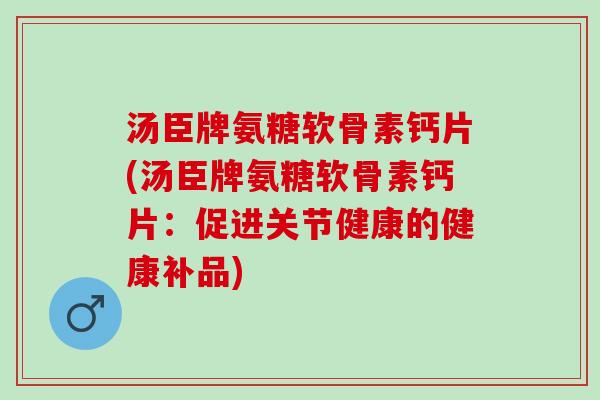 汤臣牌氨糖软骨素钙片(汤臣牌氨糖软骨素钙片：促进关节健康的健康补品)