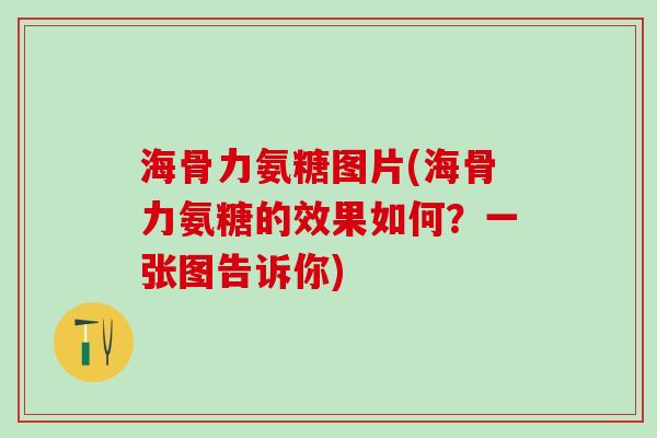 海骨力氨糖图片(海骨力氨糖的效果如何？一张图告诉你)