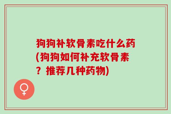 狗狗补软骨素吃什么药(狗狗如何补充软骨素？推荐几种药物)