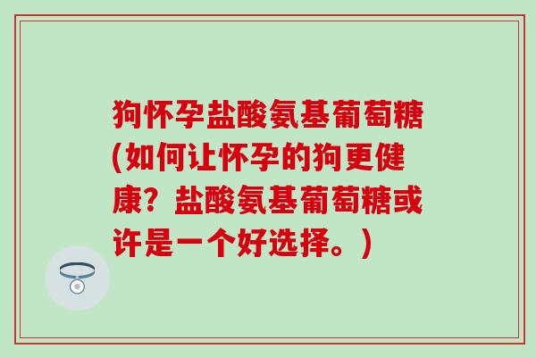 狗怀孕盐酸氨基葡萄糖(如何让怀孕的狗更健康？盐酸氨基葡萄糖或许是一个好选择。)