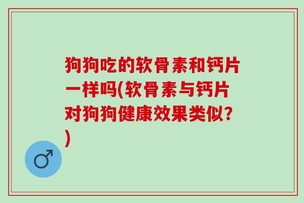 狗狗吃的软骨素和钙片一样吗(软骨素与钙片对狗狗健康效果类似？)