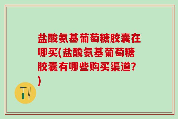 盐酸氨基葡萄糖胶囊在哪买(盐酸氨基葡萄糖胶囊有哪些购买渠道？)