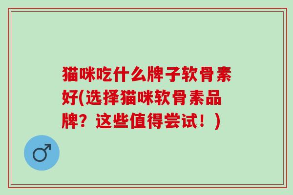 猫咪吃什么牌子软骨素好(选择猫咪软骨素品牌？这些值得尝试！)