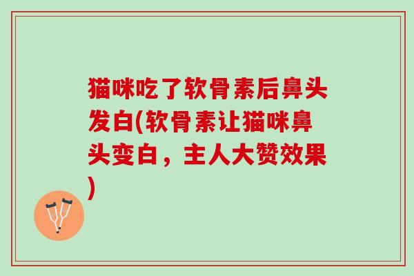 猫咪吃了软骨素后鼻头发白(软骨素让猫咪鼻头变白，主人大赞效果)