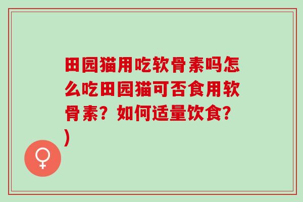田园猫用吃软骨素吗怎么吃田园猫可否食用软骨素？如何适量饮食？)