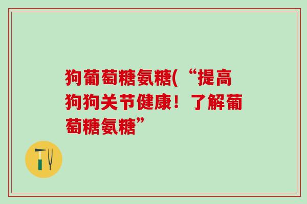 狗葡萄糖氨糖(“提高狗狗关节健康！了解葡萄糖氨糖”