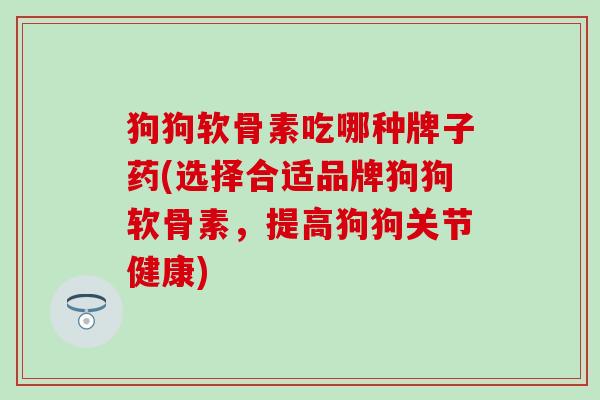 狗狗软骨素吃哪种牌子药(选择合适品牌狗狗软骨素，提高狗狗关节健康)