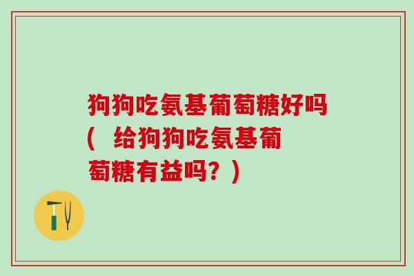 狗狗吃氨基葡萄糖好吗(  给狗狗吃氨基葡萄糖有益吗？)