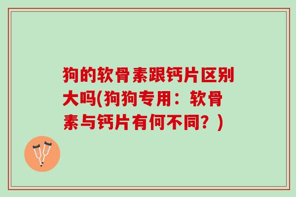 狗的软骨素跟钙片区别大吗(狗狗专用：软骨素与钙片有何不同？)