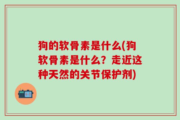 狗的软骨素是什么(狗软骨素是什么？走近这种天然的关节保护剂)