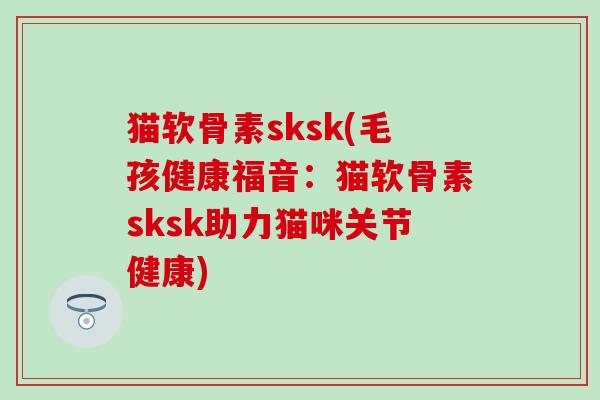 猫软骨素sksk(毛孩健康福音：猫软骨素sksk助力猫咪关节健康)