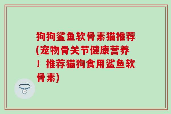 狗狗鲨鱼软骨素猫推荐(宠物骨关节健康营养！推荐猫狗食用鲨鱼软骨素)