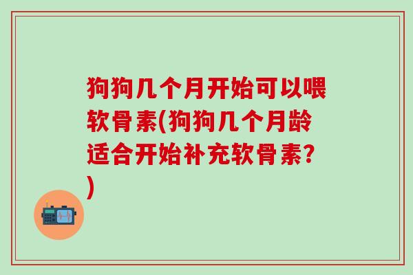 狗狗几个月开始可以喂软骨素(狗狗几个月龄适合开始补充软骨素？)