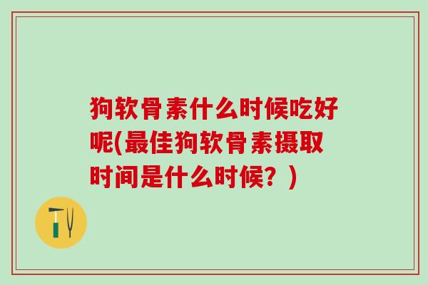 狗软骨素什么时候吃好呢(最佳狗软骨素摄取时间是什么时候？)