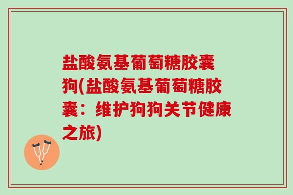盐酸氨基葡萄糖胶囊 狗(盐酸氨基葡萄糖胶囊：维护狗狗关节健康之旅)