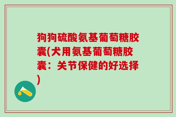 狗狗硫酸氨基葡萄糖胶囊(犬用氨基葡萄糖胶囊：关节保健的好选择)