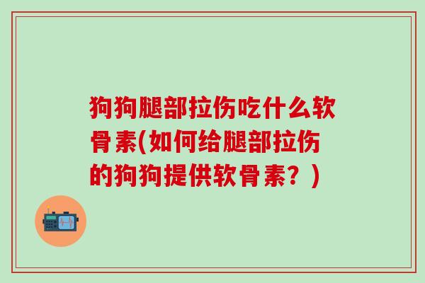 狗狗腿部拉伤吃什么软骨素(如何给腿部拉伤的狗狗提供软骨素?) 狗狗腿部拉伤吃什么软骨素(如何给腿部拉伤的狗狗提供软骨素?)