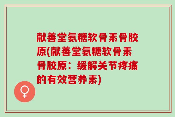 献善堂氨糖软骨素骨胶原(献善堂氨糖软骨素骨胶原：缓解关节疼痛的有效营养素)