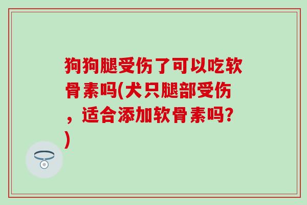 狗狗腿受伤了可以吃软骨素吗(犬只腿部受伤，适合添加软骨素吗？)