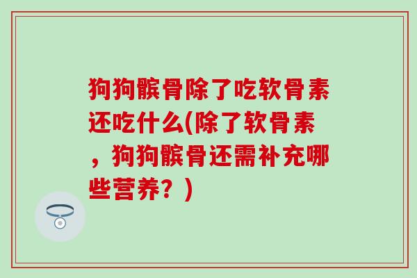 狗狗髌骨除了吃软骨素还吃什么(除了软骨素，狗狗髌骨还需补充哪些营养？)
