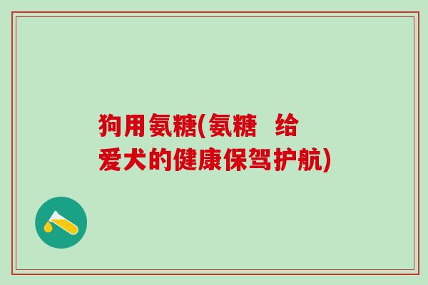 狗用氨糖(氨糖  给爱犬的健康保驾护航)