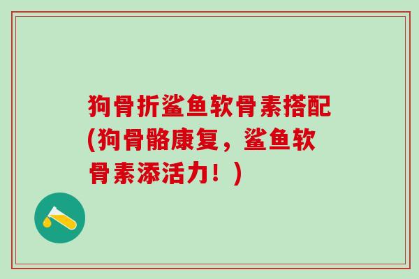 狗骨折鲨鱼软骨素搭配(狗骨骼康复，鲨鱼软骨素添活力！)