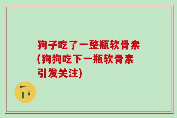 狗子吃了一整瓶软骨素(狗狗吃下一瓶软骨素引发关注)