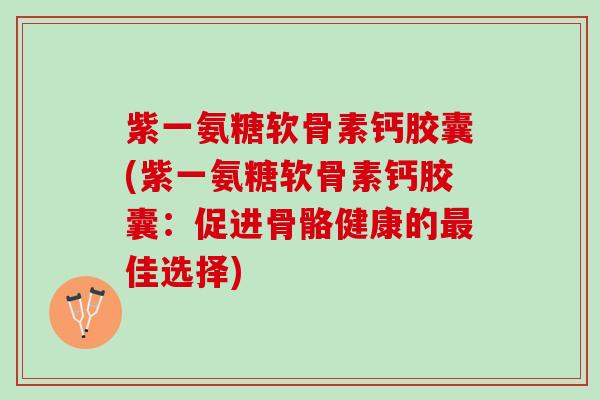 紫一氨糖软骨素钙胶囊(紫一氨糖软骨素钙胶囊：促进骨骼健康的最佳选择)